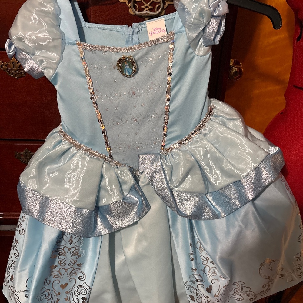Disney princess dress